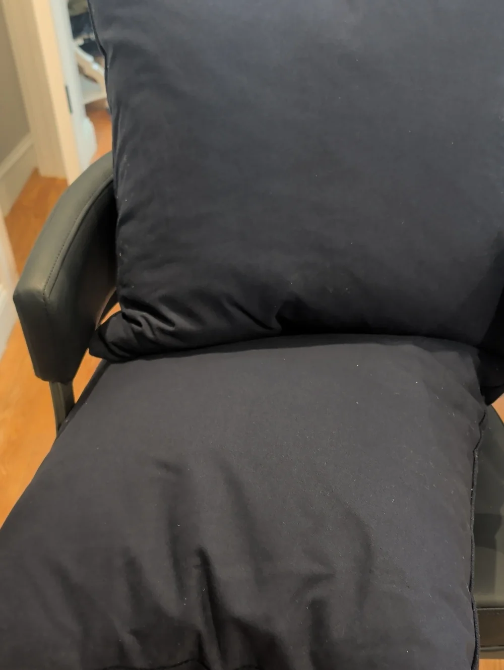 Pottery Barn Pillow Pair